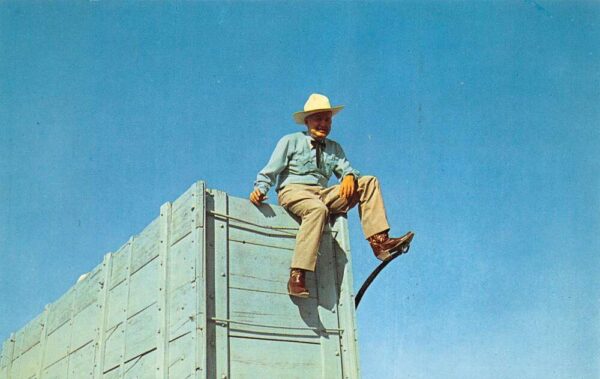 Death Valley Scotty Jr Mule Team Wagon Rider Vintage Postcard AA88381