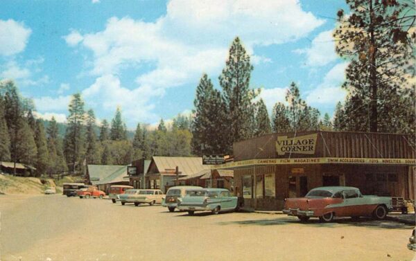 Bass Lake California The Pines Village, Chrome, Vintage Postcard U20603