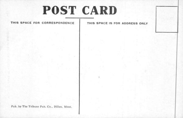 Typical Western Stage Driver Coachman Vintage Postcard AA88448 - Image 2