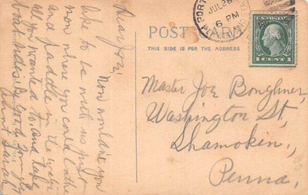 Peaks Island Maine Peaks Island Ferry, White Border Vintage Postcard U20668 - Image 2