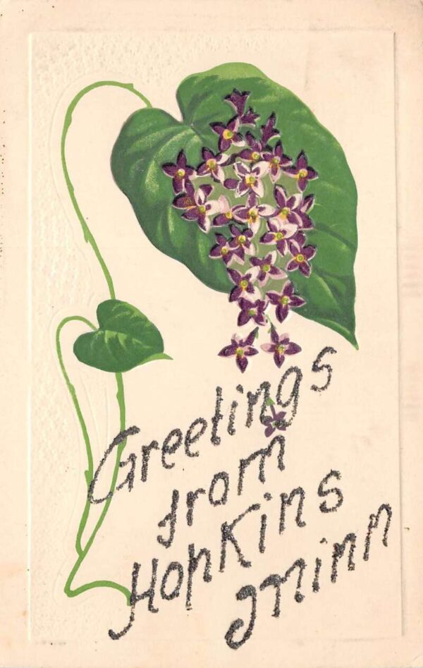 Hopkins Minnesota Greetings From Hopkins, Flowers & Glitter, PC U20694