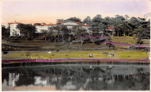 Baguio Philippines Hotel Pines Tinted Real Photo Vintage Postcard AA88613