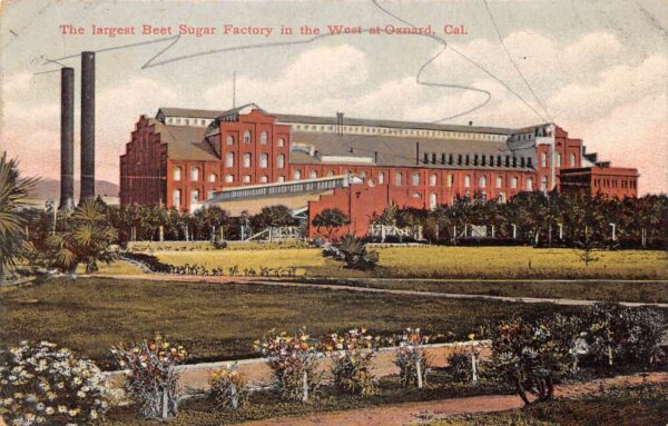Oxnard California Beet Sugar Factory Vintage Postcard AA88620