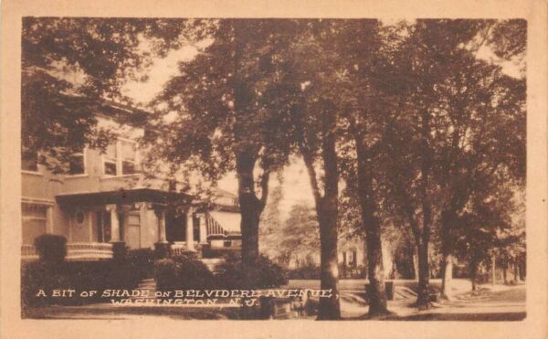 Washington New Jersey Belvidere Avenue Shaded Street Vintage Postcard AA88628