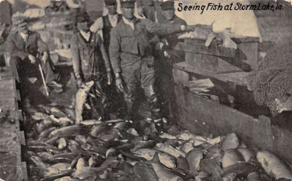 Storm Lake Iowa Fishermens Catch Fishing Vintage Postcard AA88642