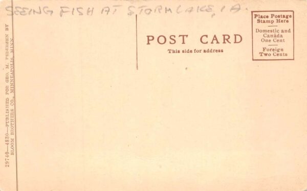 Storm Lake Iowa Fishermens Catch Fishing Vintage Postcard AA88642 - Image 2