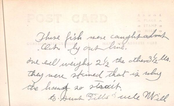 Man with Eels Fishing Fisherman Real Photo Vintage Postcard AA88834 - Image 2