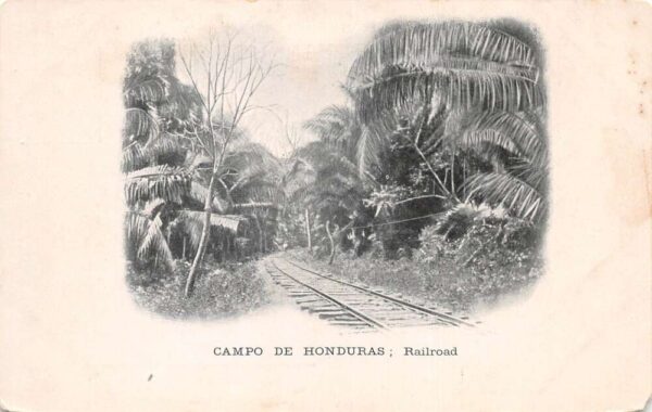 Campo de Ronduras Railroad Scenic View Vintage Postcard AA88843