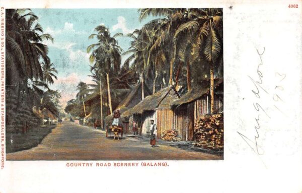 Galang Island Singapore Country Road Scenery Vintage Postcard AA88855