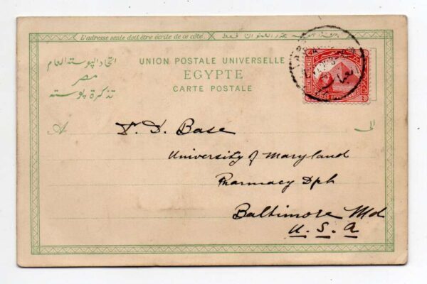 Eygpt Harvesting Dates Embossed Airbrushed Tinted Real Photo Postcard AA88890 - Image 2