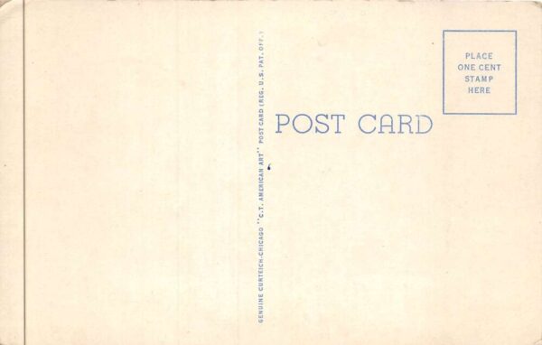 Lufkin Texas Southland Paper Mills Vintage Postcard AA88893 - Image 2