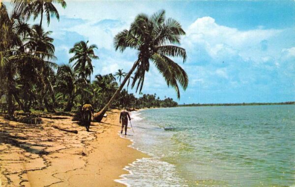 Toledo District Belize Beach Scene Vintage Postcard AA88903
