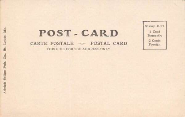 Silver City New Mexico St. Joseph Sanitorium, Undivided Back, Vintage PC U20928 - Image 2
