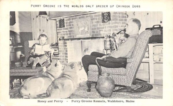 Waldoboro Maine Perry Greene Kennels, B/W Chrome, Vintage Postcard U20962