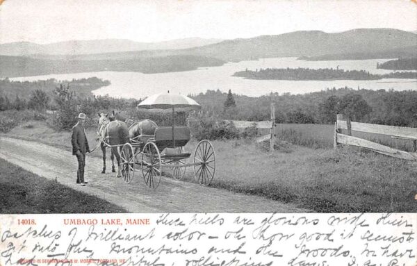 Umbago Lake Maine Horse Drawn Transport, Undivided Back, Vintage Postcard U20963