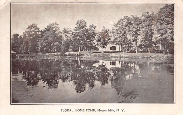 Moores Mills New York Floral Home Pond, B/W Lithograph, Vintage Postcard U20971