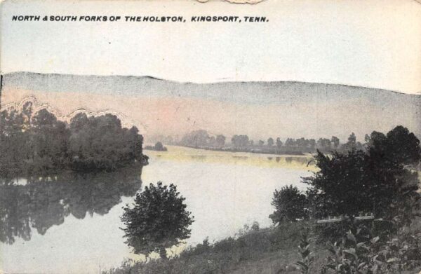 Kingsport Tennessee North & South Forks Of The Holston, Vintage PC U20986