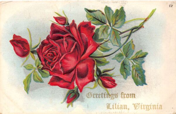 Lilian Virginia Greetings Fromâ€¦ With Flowers, Vintage Postcard U21008