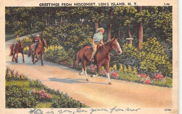 Nesconset New York Greetings From Nesconset, Long Island, Vintage PC U21013