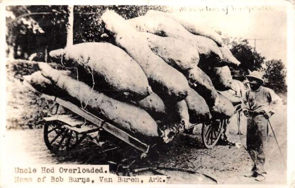 Van Buren Arkansas Potato Farming Exaggeration Real Photo Postcard AA89071