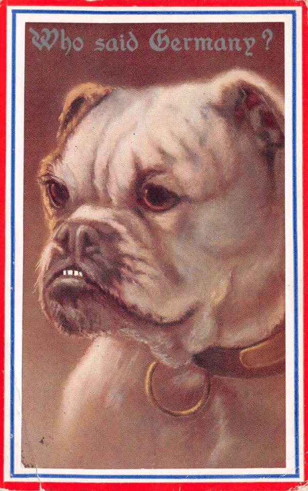 "Who said Germany?" English Bulldog WW1 Humor Vintage Postcard AA89153