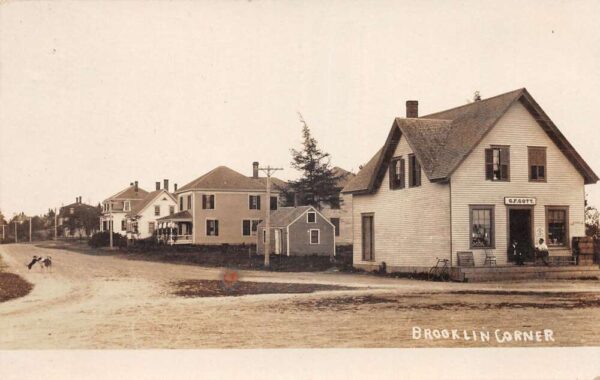Brooklin Maine Corner Street Scene Dogs Playing Real Photo Postcard AA89159