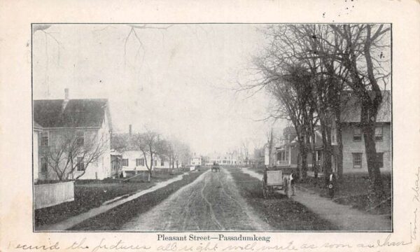 Passadumkeag Maine Pleasant Street Vintage Postcard AA89164