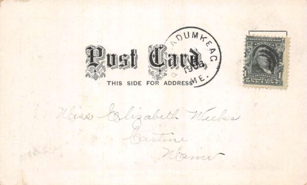 Passadumkeag Maine Pleasant Street Vintage Postcard AA89164 - Image 2