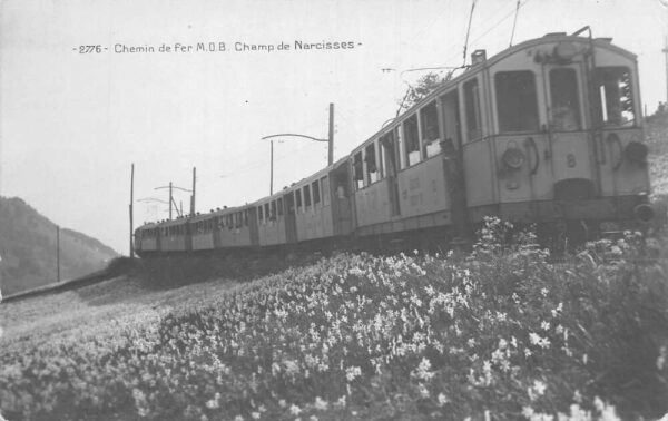 Champ de Narcisses France Chemin de fer MOB Railroad Scene Real Photo PC AA89166