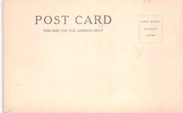 Chester Vermont Birds Eye View Real Photo Vintage Postcard AA89217 - Image 2