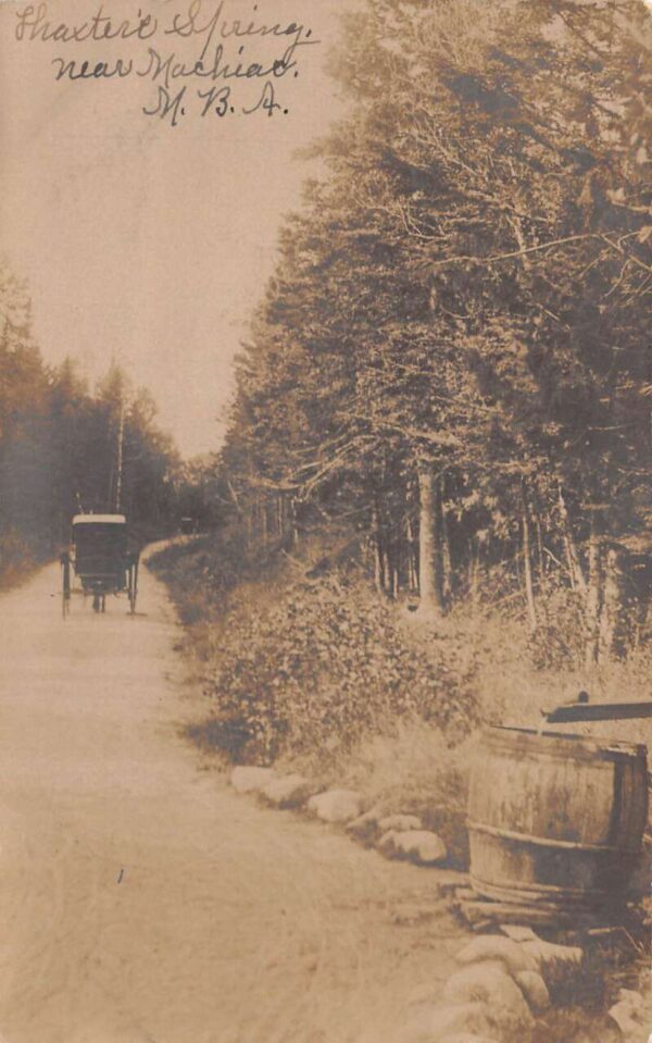 Machias Maine Thaxters Spring Real Photo Vintage Postcard AA89218
