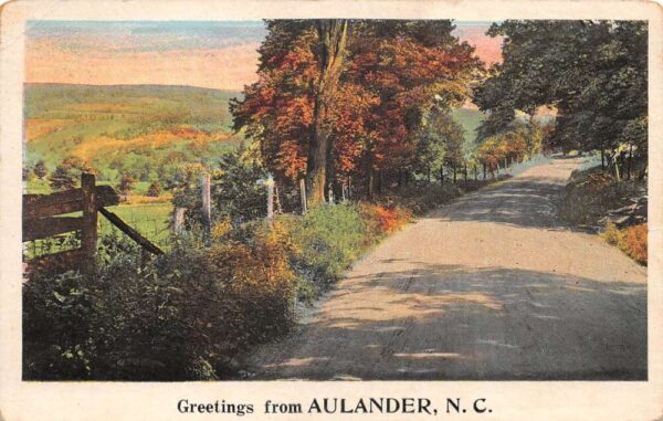 Aulander North Carolina Greetings Roadway Scenic Vintage Postcard AA89419