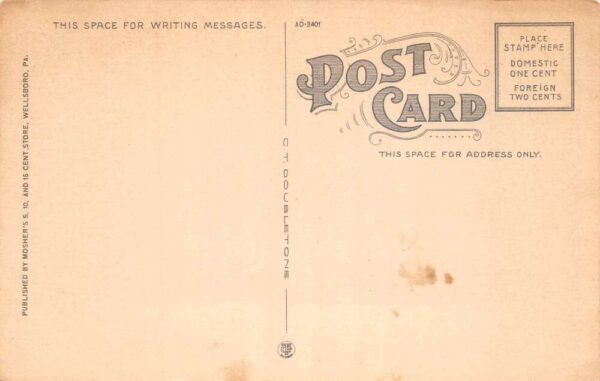 Wellsboro Pennsylvania Club House and Cottages on Pine Creek Postcard AA89443 - Image 2