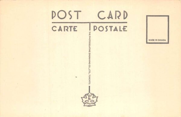 St Johns Newfoundland Canada Westerland Potato Field Farming Postcard AA89473 - Image 2