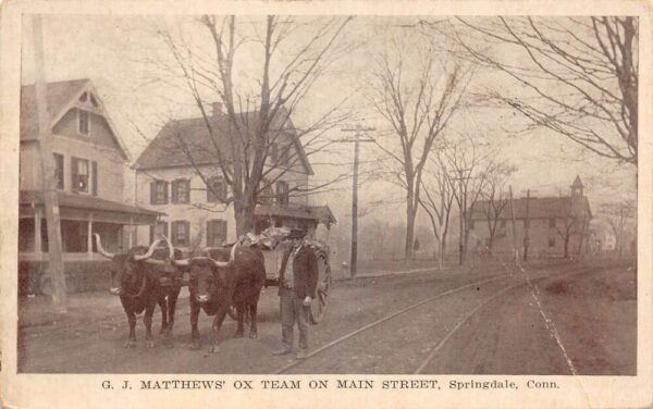 Springdale Connecticut GJ Matthews Ox Team on Main Street Postcard AA89511