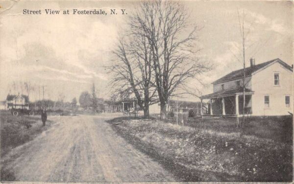 Fosterdale New York Street View Vintage Postcard AA89513