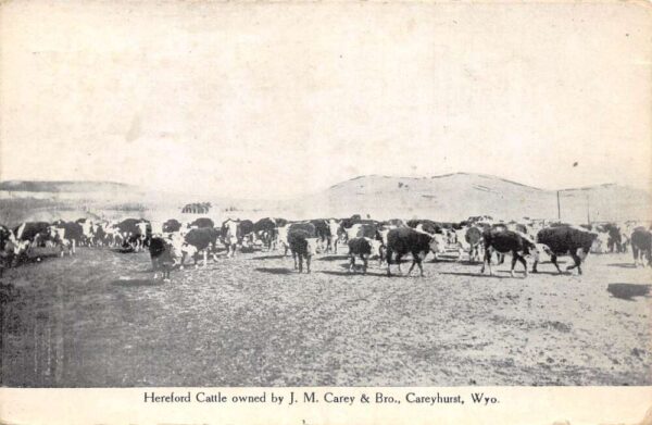 Careyhurst Wyoming Hereford Cattle Ranch Farming Scene Vintage Postcard AA89519