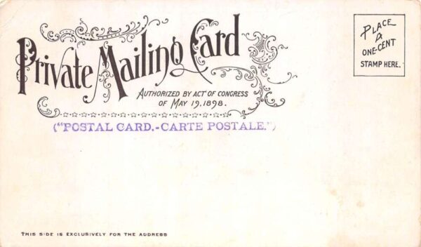 New York City Bowling Green Park Private Mail Vintage Postcard AA89521 - Image 2