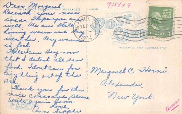 Milford Delaware Lake Avenue Silver Lake by Moonlight Postcard AA89588 - Image 2