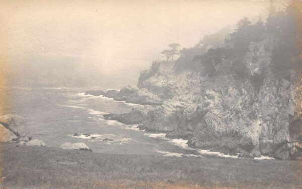 Point Lobos California Scenic View Real Photo Vintage Postcard AA89627