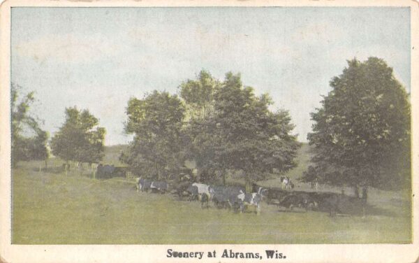 Abrams Wisconsin Cows Grazing Farming Scene Vintage Postcard AA89651
