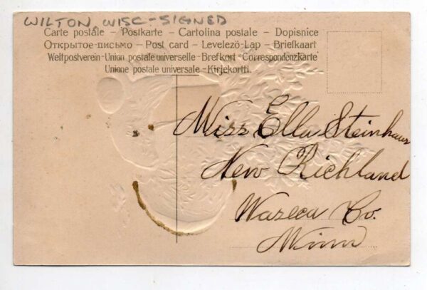 Wilton Wisconsin Greetings Glitter Fruit and Flowers Artist Signed PC AA89653 - Image 2