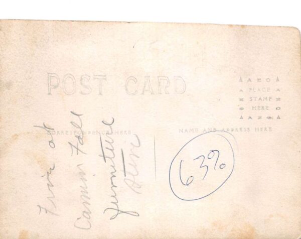 Cannon Falls Minnesota Danielson's Fire Disaster Real Photo Postcard AA89833 - Image 2