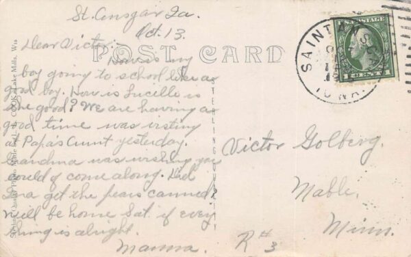St. Ansgar Iowa City Park, Real Photo, Vintage Postcard U21065 - Image 2