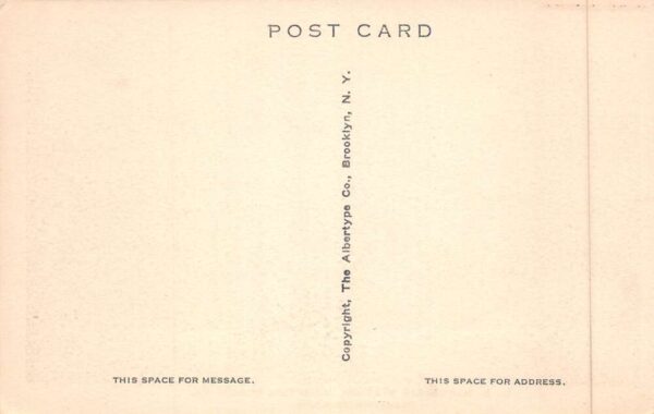 Hampton Roads Virginia US Naval Air Station 166S Seaplane Postcard AA90009 - Image 2