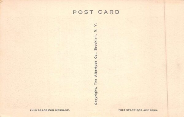 Hampton Roads Virginia US Naval Air Station Seaplanes Crusing Postcard AA90010 - Image 2