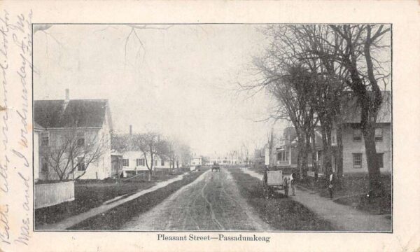 Passadumkeag Maine Pleasant Street Horse Carriages Vintage Postcard AA90062