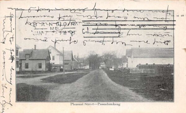 Passadumkeag Maine Pleasant Street Vintage Postcard AA90063