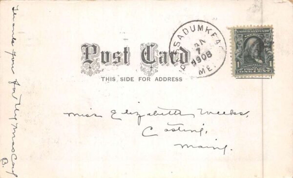 Passadumkeag Maine Pleasant Street Vintage Postcard AA90063 - Image 2