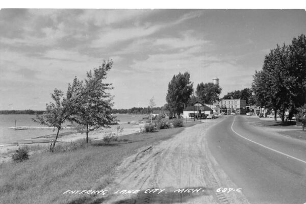 Lake City Michigan Street Scene Real Photo Vintage Postcard AA100296